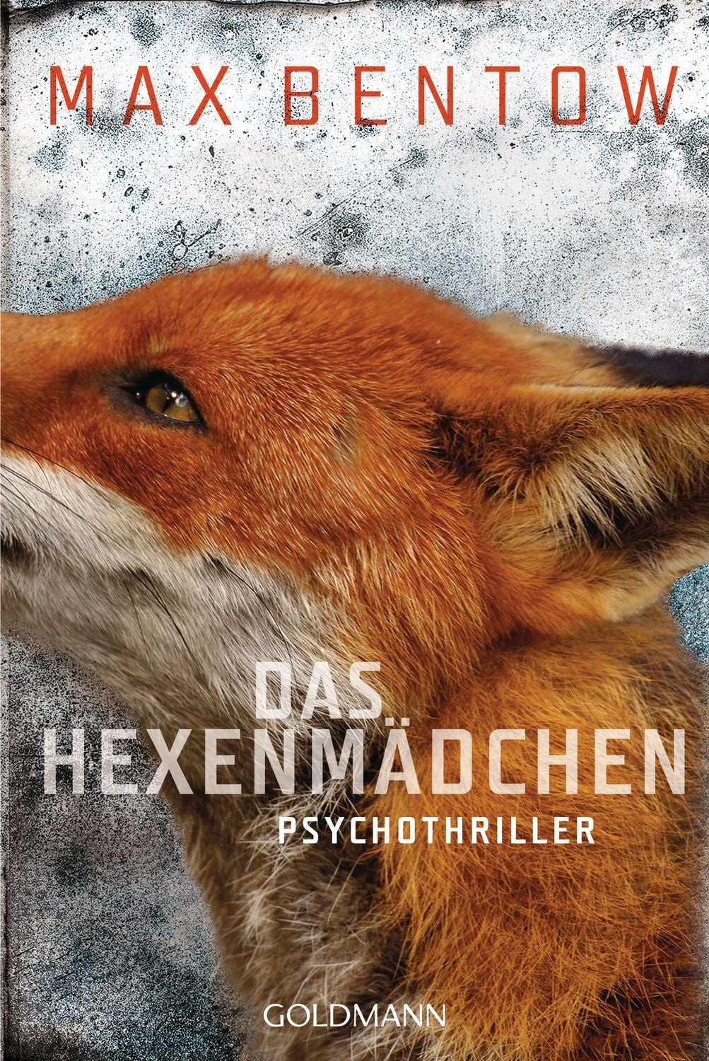 Das Hexenmädchen / Nils Trojan Band 4 / Max Bentow