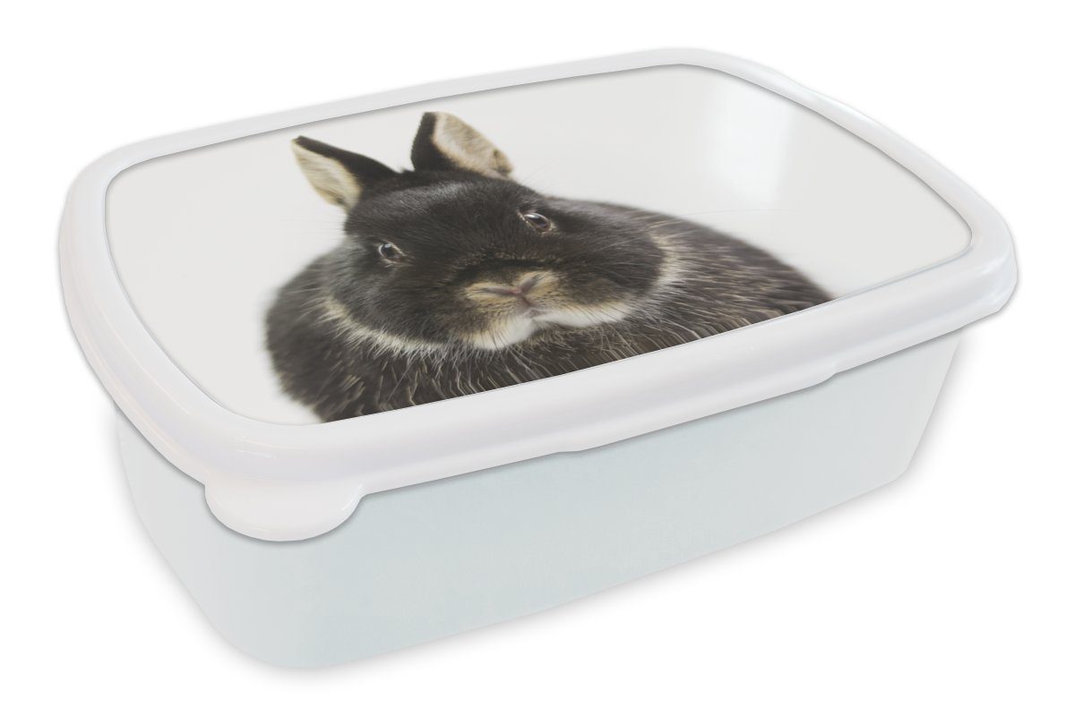 MuchoWow Lunchbox Kaninchen - Haustiere - Fell, Kunststoff, (2-tlg), Brotbox für Kinder und Erwachsene, Brotdose, für Jungs und Mädchen weiß