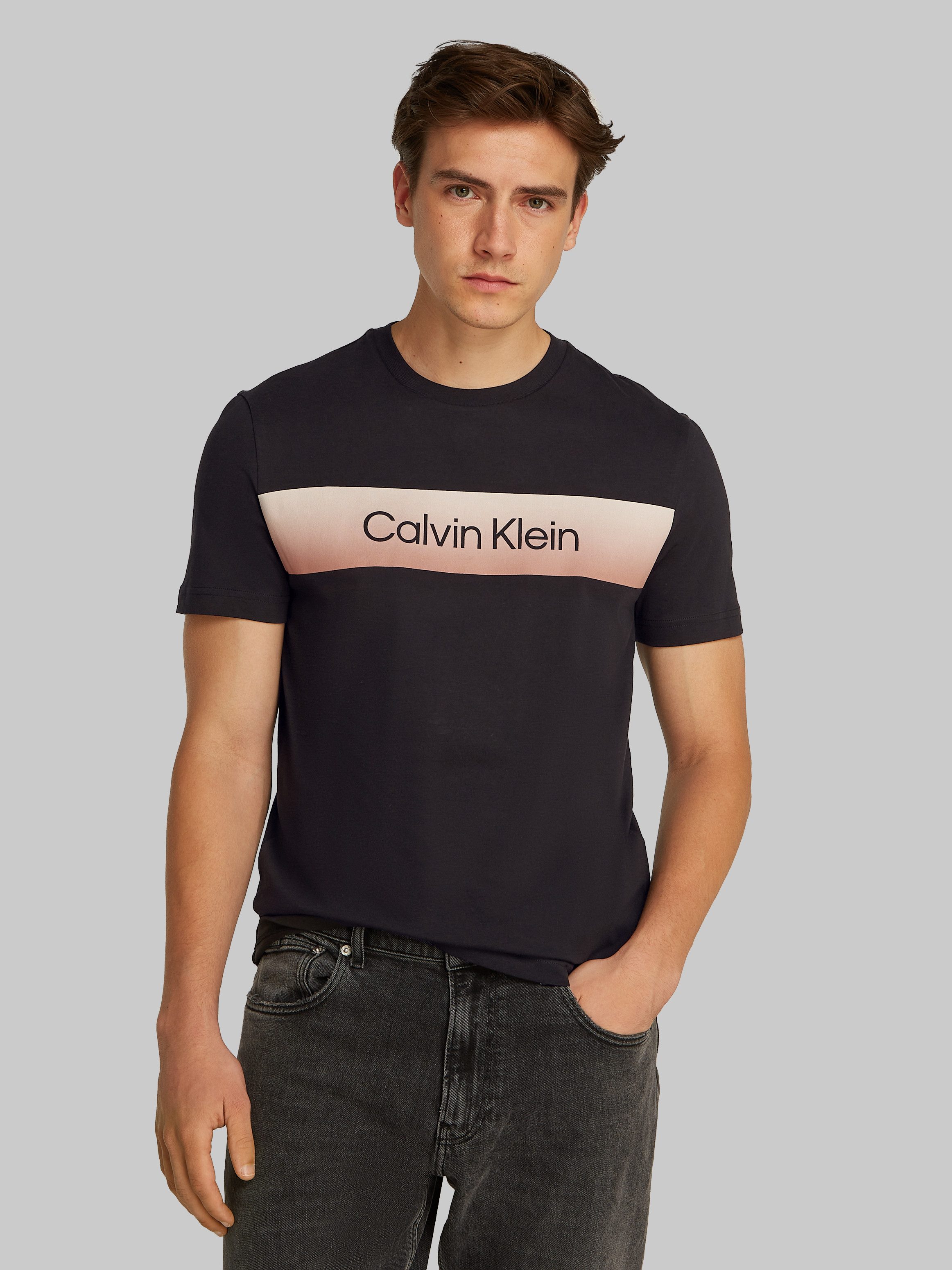 Calvin Klein T-Shirt LINEAR OMBRE CHEST günstig online kaufen