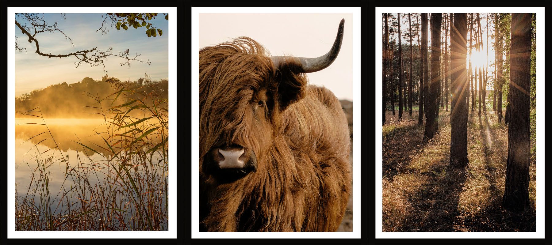 Bönninghoff Bild mit Rahmen, (3 St)