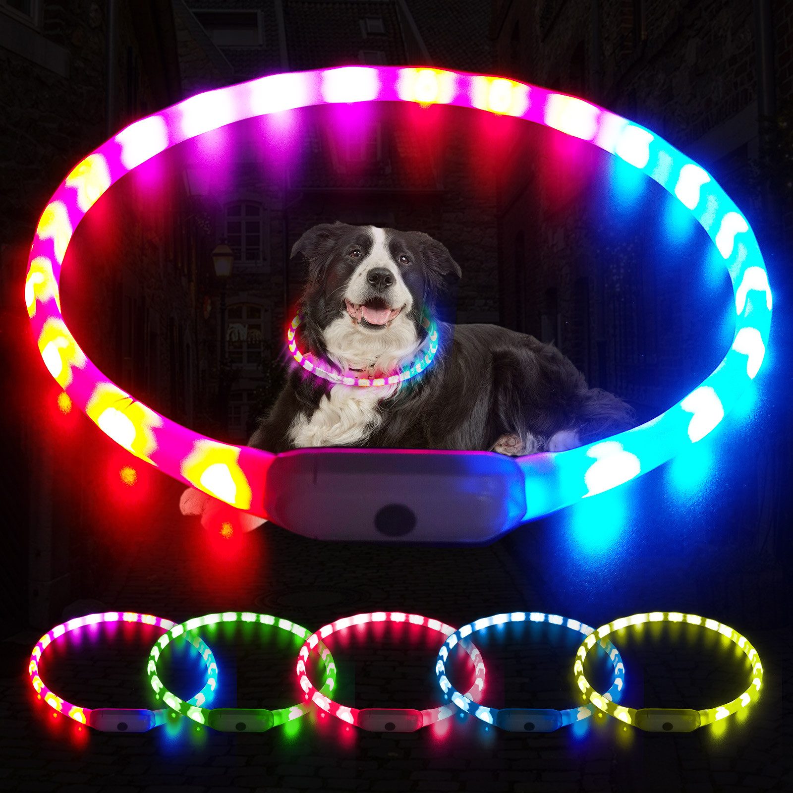 Illes-Laedchen Hunde-Halsband Hunde-Halsband LED Leuchtring - ein Leuchthal günstig online kaufen