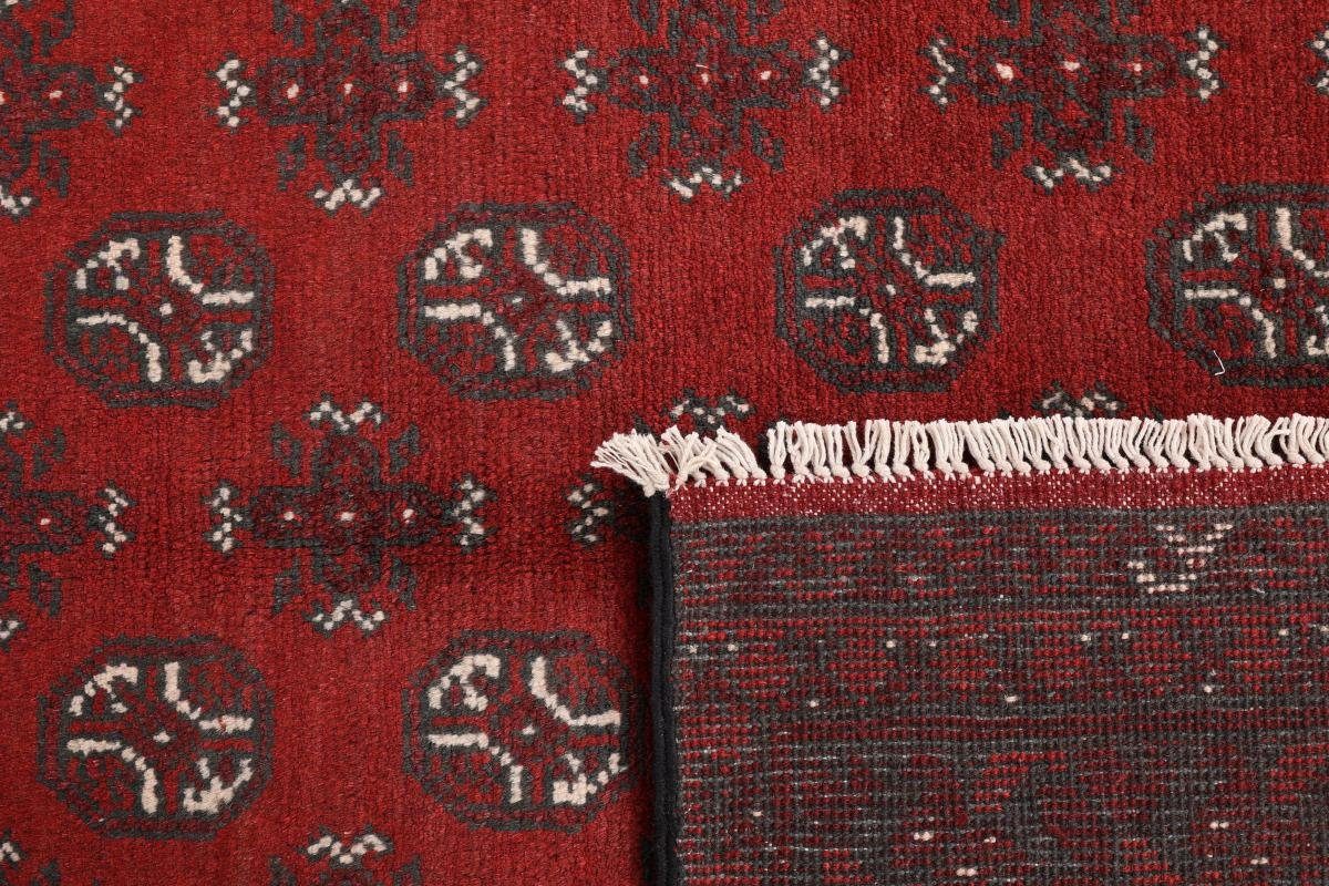 Orientteppich Afghan Akhche Nain Höhe: Trading, 6 mm 201x290 Orientteppich, Handgeknüpfter rechteckig