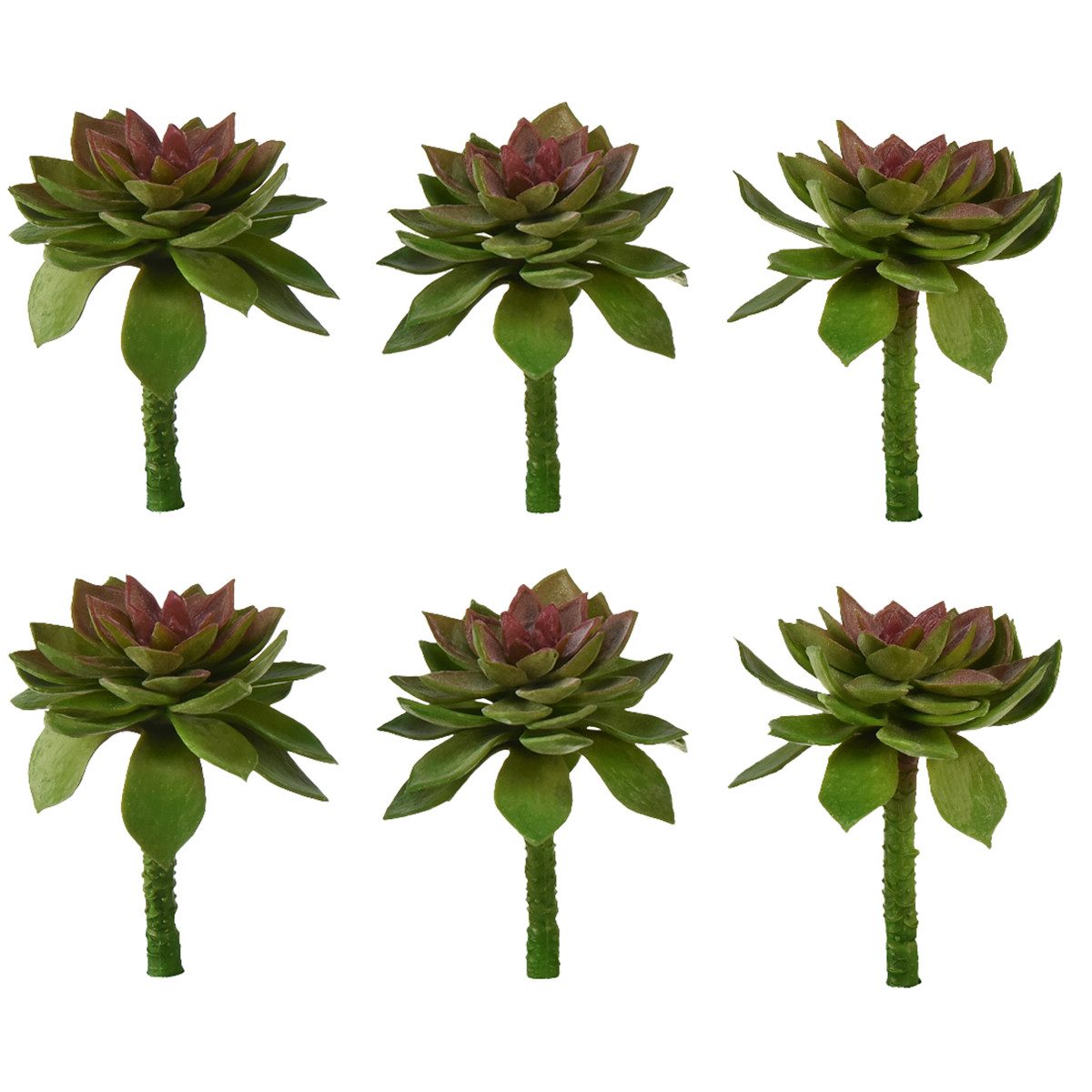 Kunstkaktus Sukkulenten Deko Steinrose Set 6 günstig online kaufen