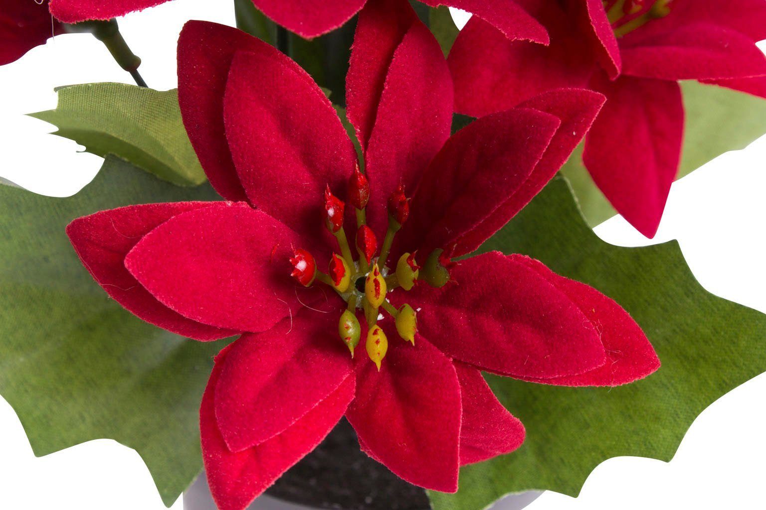 Zimmerpflanze im Weihnachtsdekoration cm, dekorieren - Aufwand 14 Schöne Kunststofftopf, Mini-Poinsettie ohne großen Höhe Künstliche Botanic-Haus,