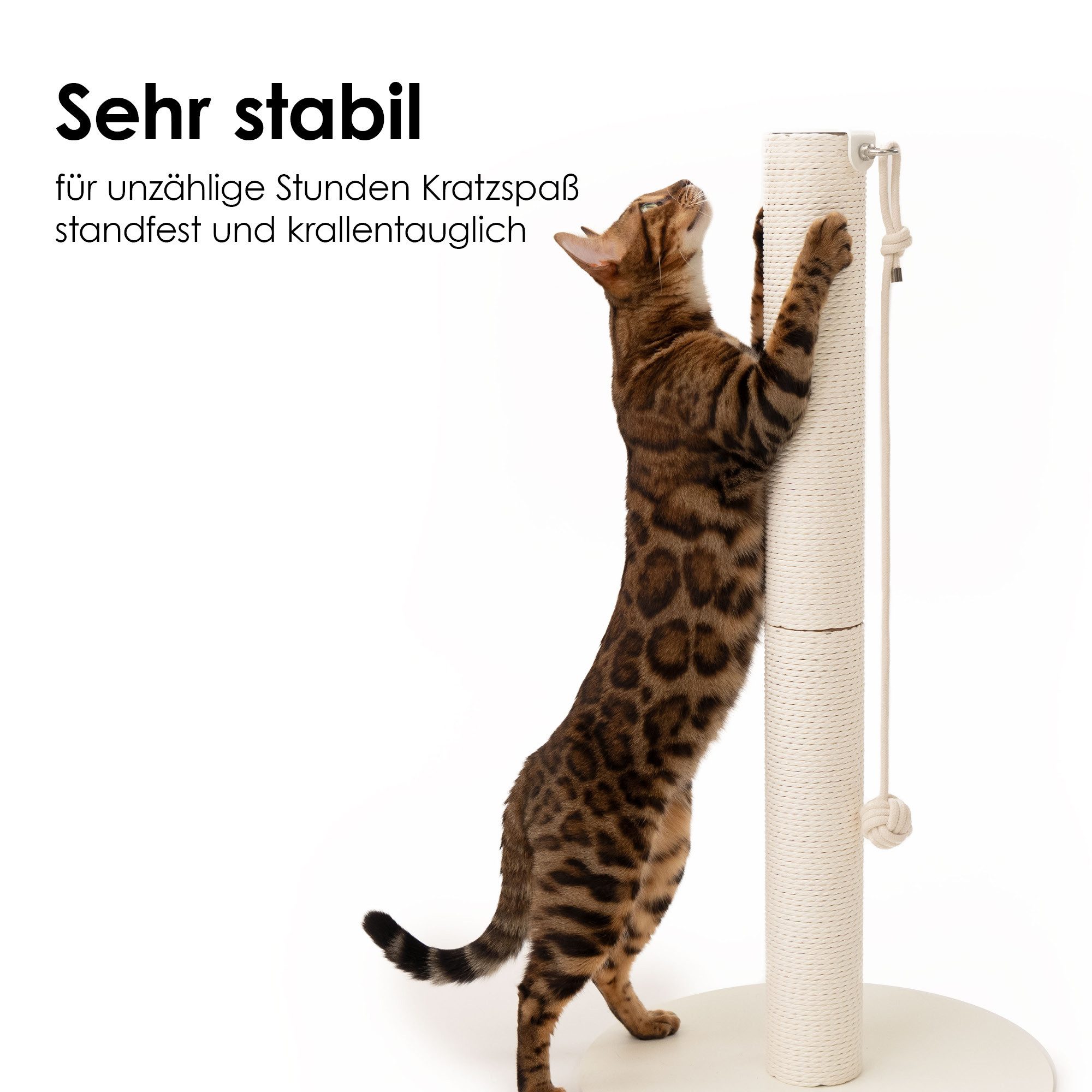 LucyBalu Kratzsäule PAPERPOLE freistehende Katzen Kratzsäule, Kratzstamm mit Spielball, Kratzbaum mit Papierseil, stabiler Kratzturm für alle Katzenrassen