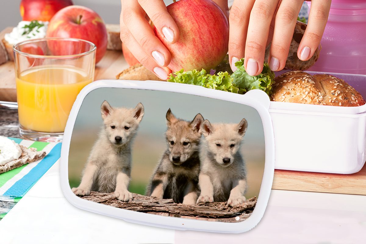 und weiß Kunststoff, - Mädchen Holz, (2-tlg), für und Erwachsene, Brotbox für Jungs Brotdose, MuchoWow - Wolf Kind Lunchbox Kinder