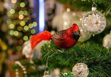 Birds of Glass Christbaumschmuck Glasvogel roter Kardinal mit Naturfeder, mundgeblasen, handdekoriert, aus eigener Herstellung