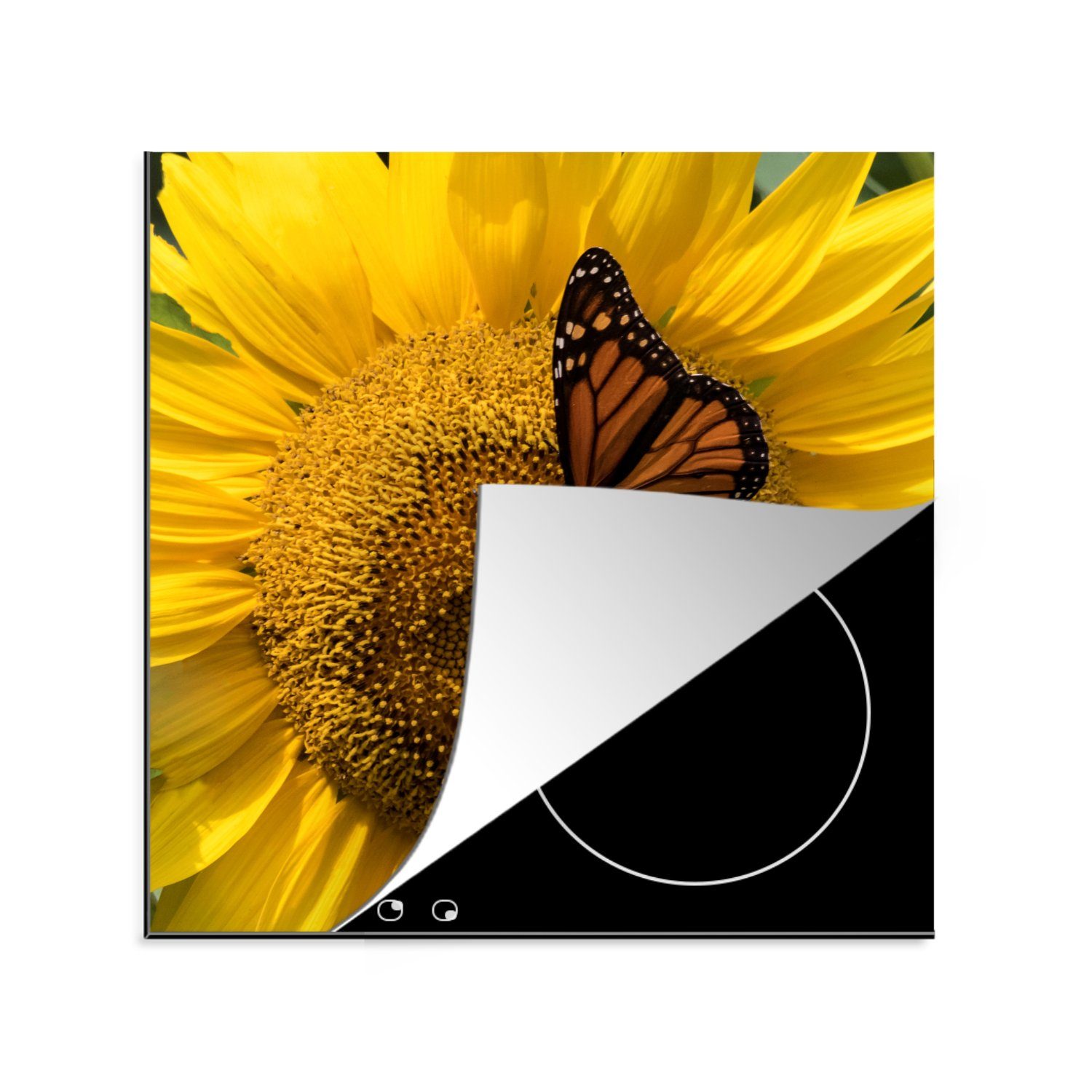 MuchoWow Herdblende-/Abdeckplatte Sonnenblume - Schmetterling - Frühling, Vinyl, (1 tlg), 78x78 cm, Ceranfeldabdeckung, Arbeitsplatte für küche