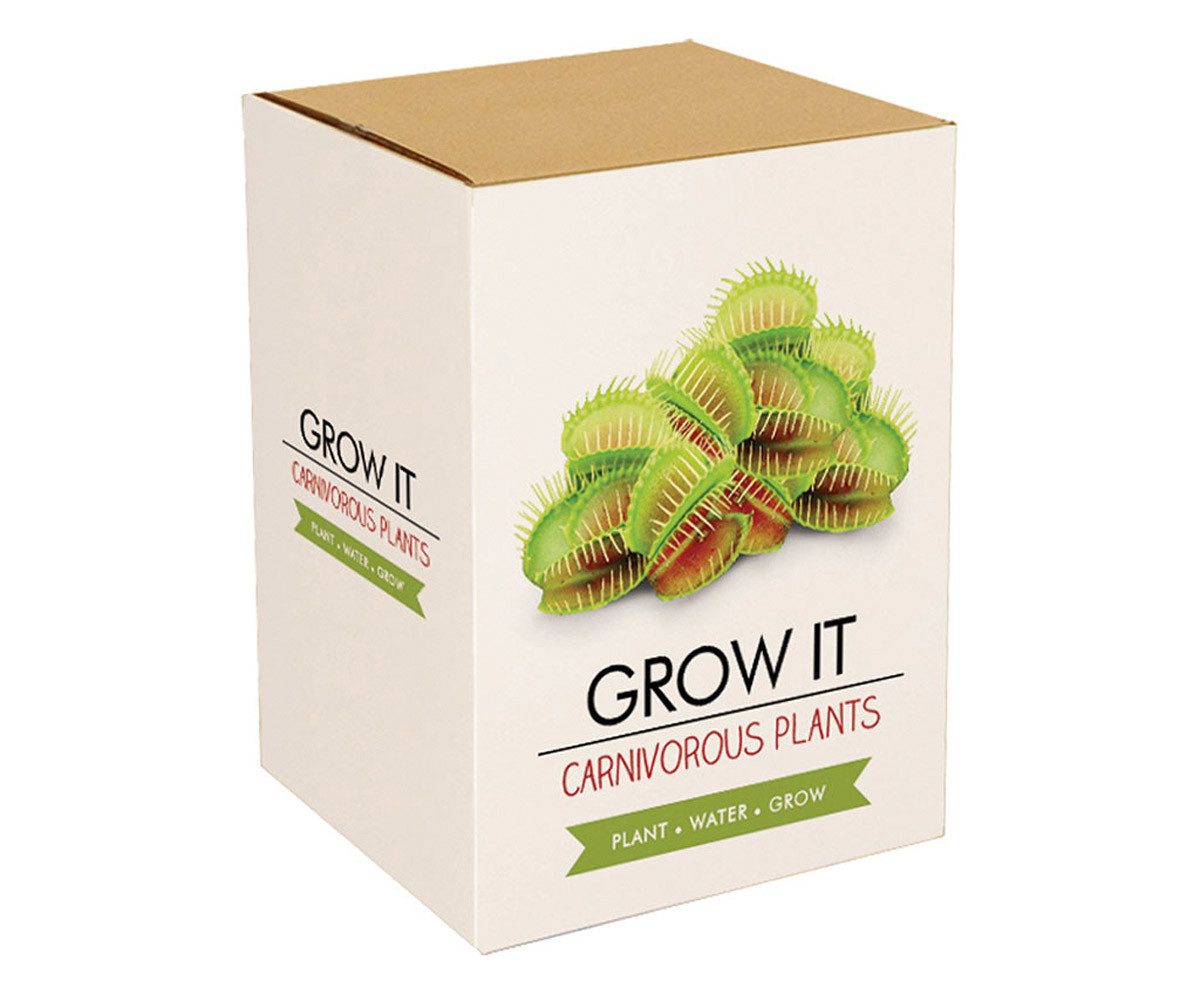 Blumensamen Gift Republic Grow It Geschenkset Fleischfressende-Pflanzen-Pflanzset