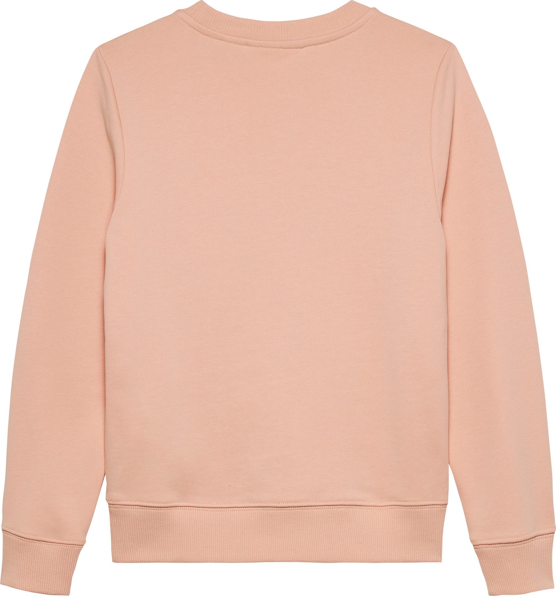 Calvin Klein Jeans Sweatshirt CK Monogram Terry Cn für Kinder bis 16 Jahre und mit Logodruck – Bild 3 von 3