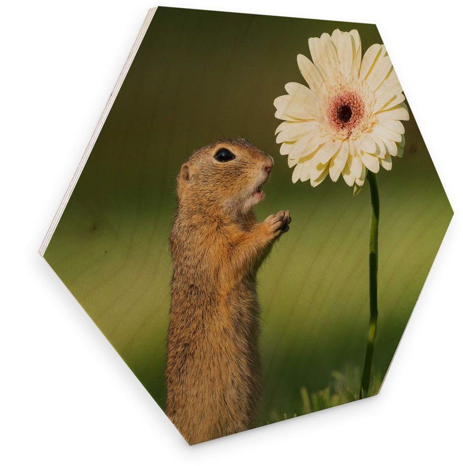 Wall-Art Holzbild Eichhörnchen Holzbild Blumen, (1 St) | Bilder