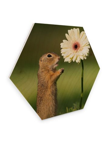 Wall-Art Holzbild »Eichhörnchen Holzbild Blumen...