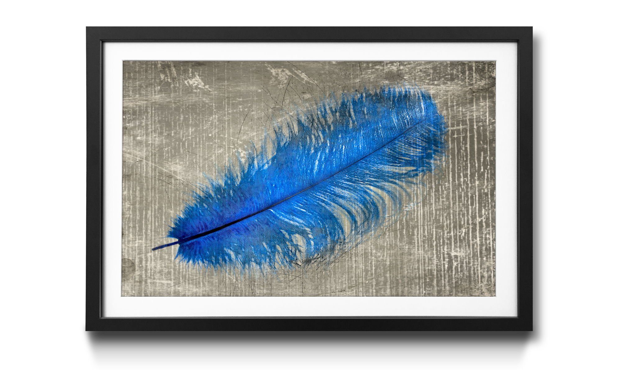 WandbilderXXL Bild mit Rahmen Feather In Blue, Vogelfedern, Wandbild, in 4 Größen erhältlich