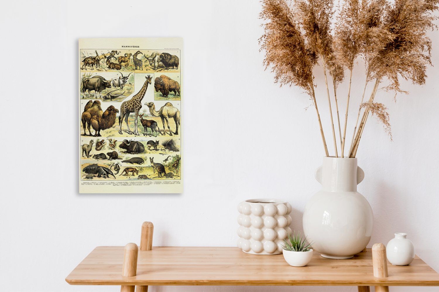 (1 Zackenaufhänger, 20x30 cm inkl. bespannt St), fertig OneMillionCanvasses® - Tiere - Gemälde, Leinwandbild Kamel, Giraffe Leinwandbild