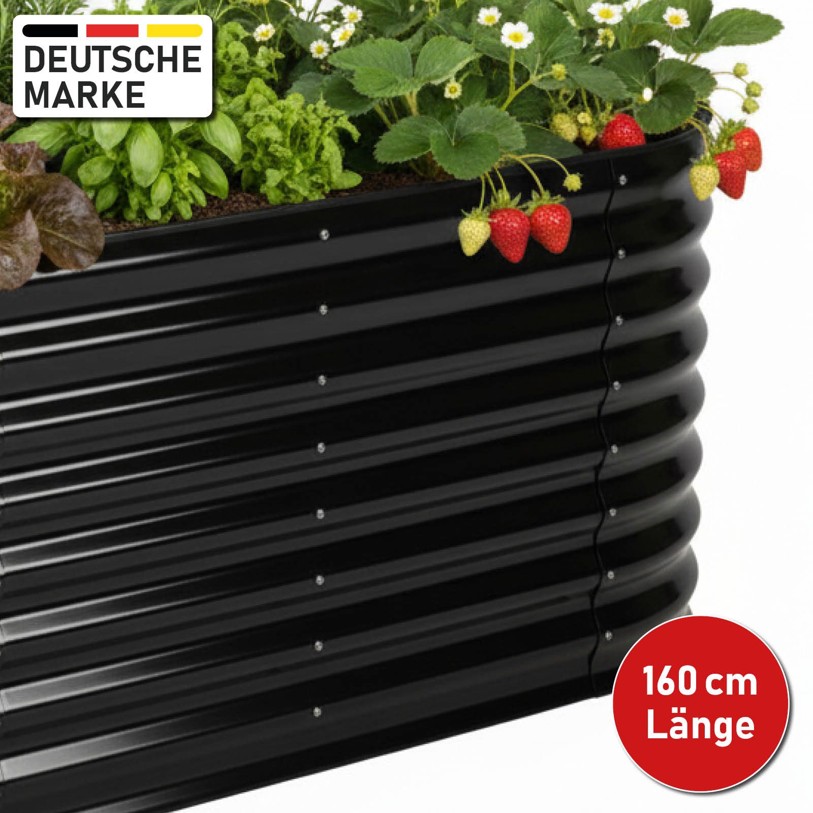 BRAST Hochbeet Metall Julia, 160x80x80-400x80x80cm, 8 Modelle, viel Zubehör (wetterfest ovale Form, für Gemüse Obst Kräuter & Blumen), Stahl rostfrei & verzinkt