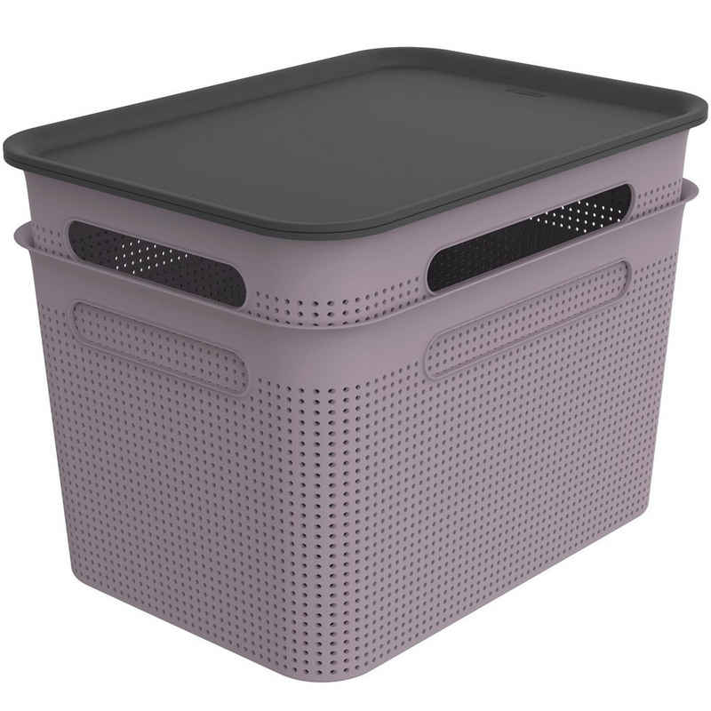 ROTHO Aufbewahrungsbox Brisen 2er-Set Aufbewahrungsbox 16l mit Deckel, Kunststoff (PP recycelt)