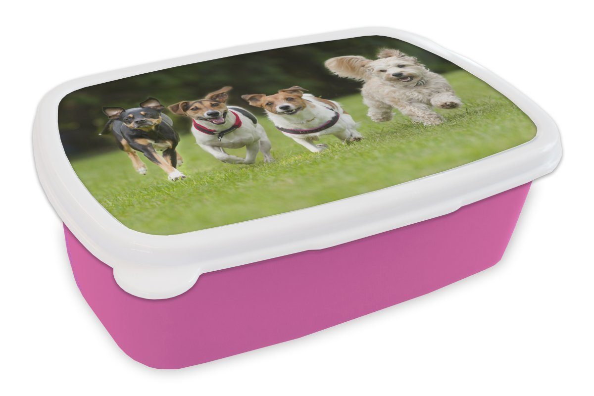 MuchoWow Lunchbox Eine Gruppe von Welpen läuft über ein Feld, Kunststoff, (2-tlg), Brotbox für Erwachsene, Brotdose Kinder, Snackbox, Mädchen, Kunststoff rosa | Lunchboxen
