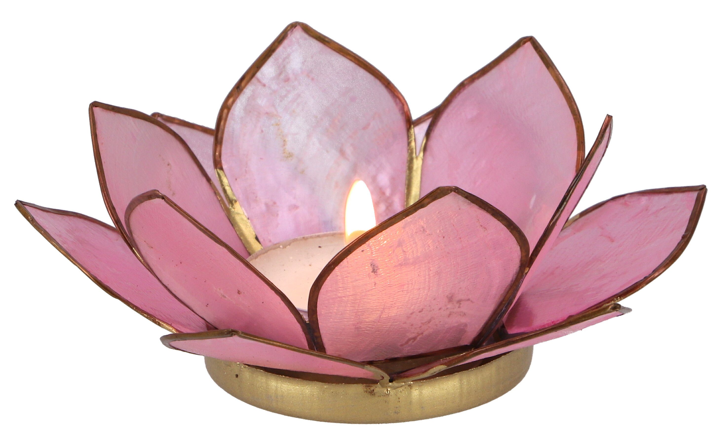 Muschel Windlicht cm Teelicht 11*4 - Lotus Guru-Shop rosa