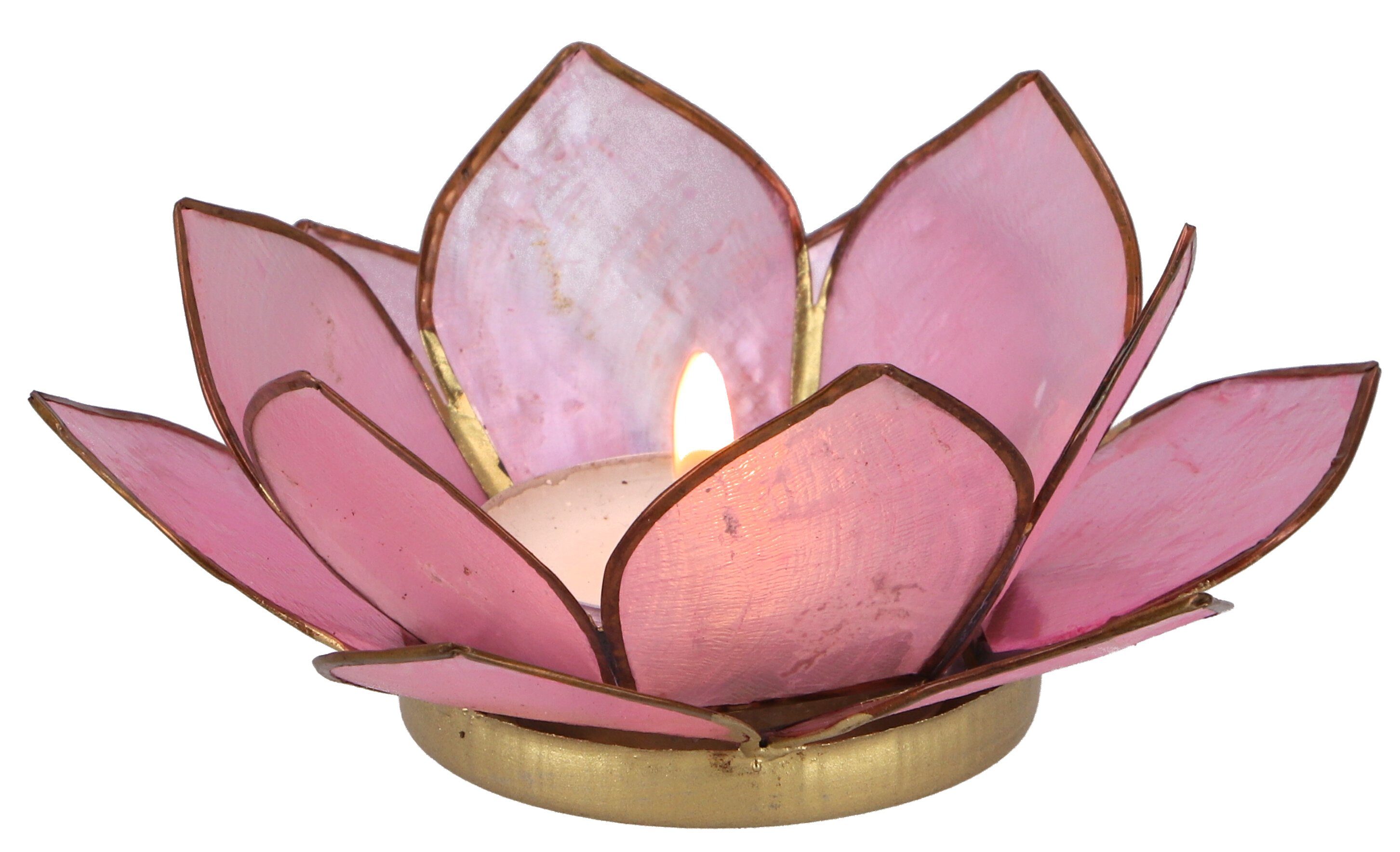 Guru-Shop Windlicht Lotus Teelicht Muschel 11*4 cm - rosa günstig online kaufen