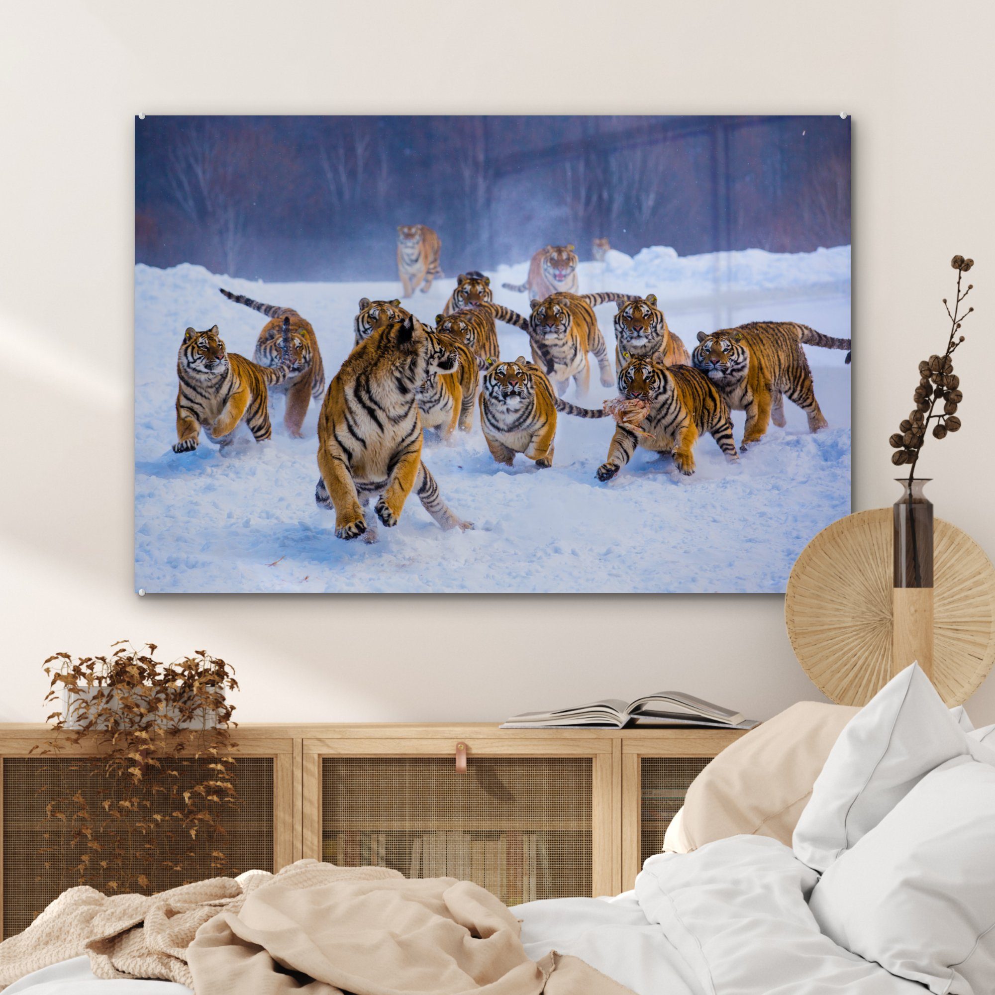 Acrylglasbilder Wohnzimmer St), (1 - Wilde Acrylglasbild Schlafzimmer & - - Winter, MuchoWow Tiere Tiger Schnee