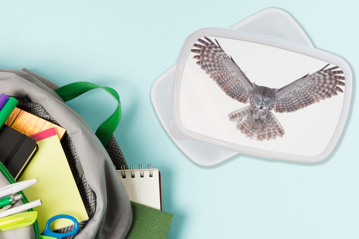 Lunchbox Brotbox Brotdose, Eule, für MuchoWow Erwachsene, Kunststoff, und Kinder Jungs und weiß Fliegende Mädchen für (2-tlg),