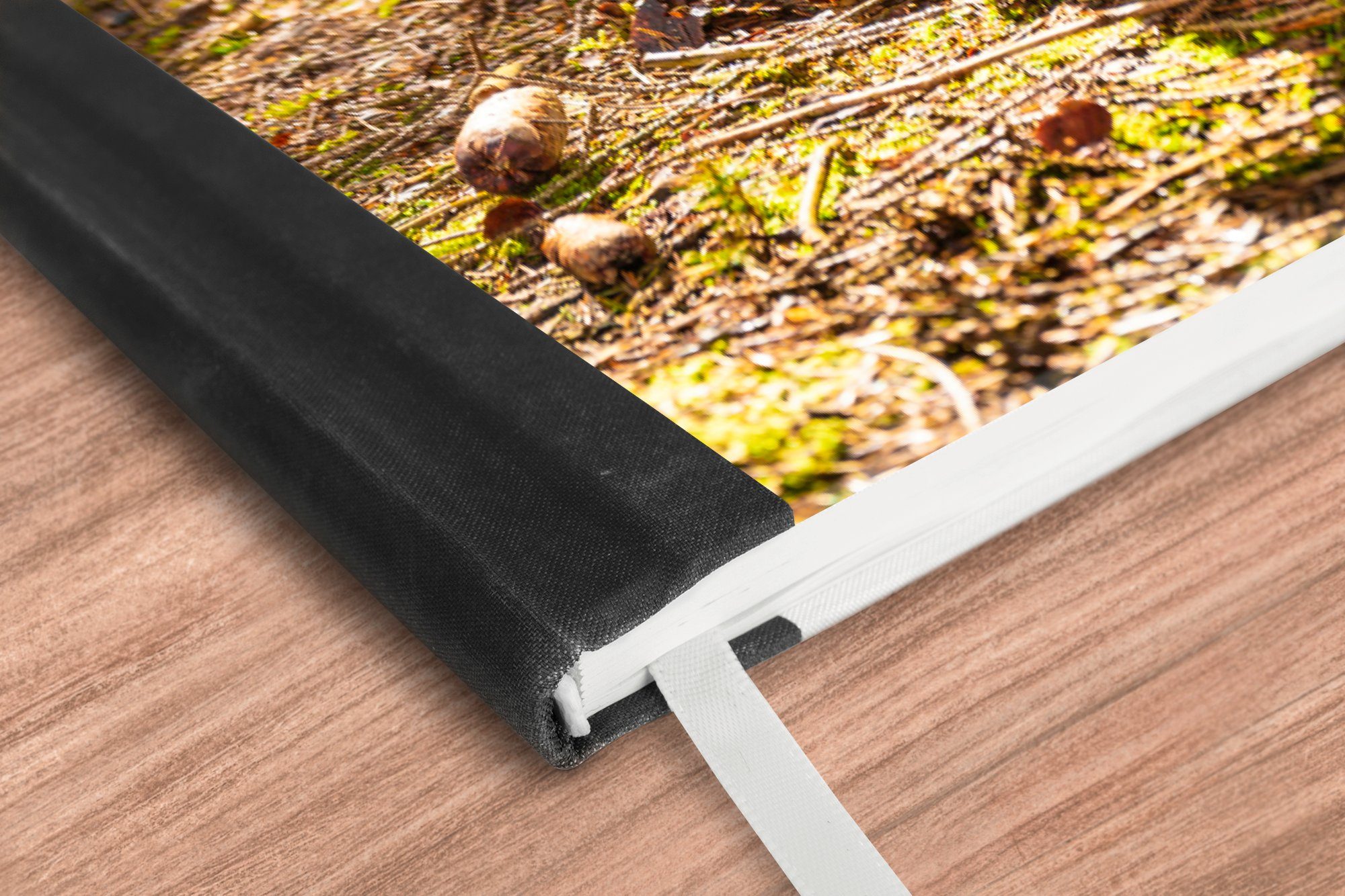 Thumbnail - MuchoWow Notizbuch Sonnenstrahlen entlang eines Labrador Retrievers im Wald, Notebook, Notizblock a5, Tagebuch, Journal ...