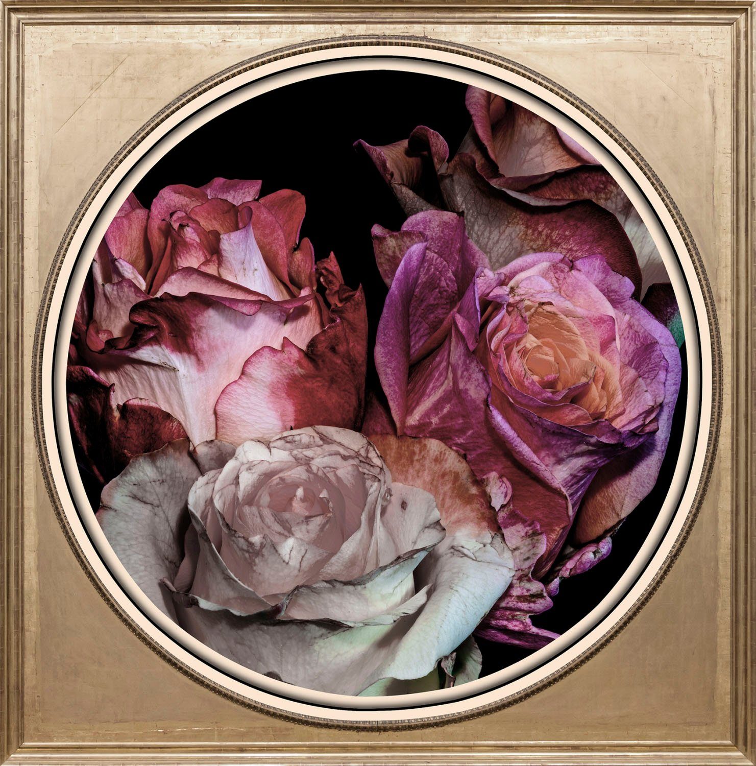 queence Acrylglasbild Blumen, Blumen, Blumenbilder, Gemälde, Kunst, Pflanzen, Pflanzenbilder, Fine Art-Print in Galeriequalität