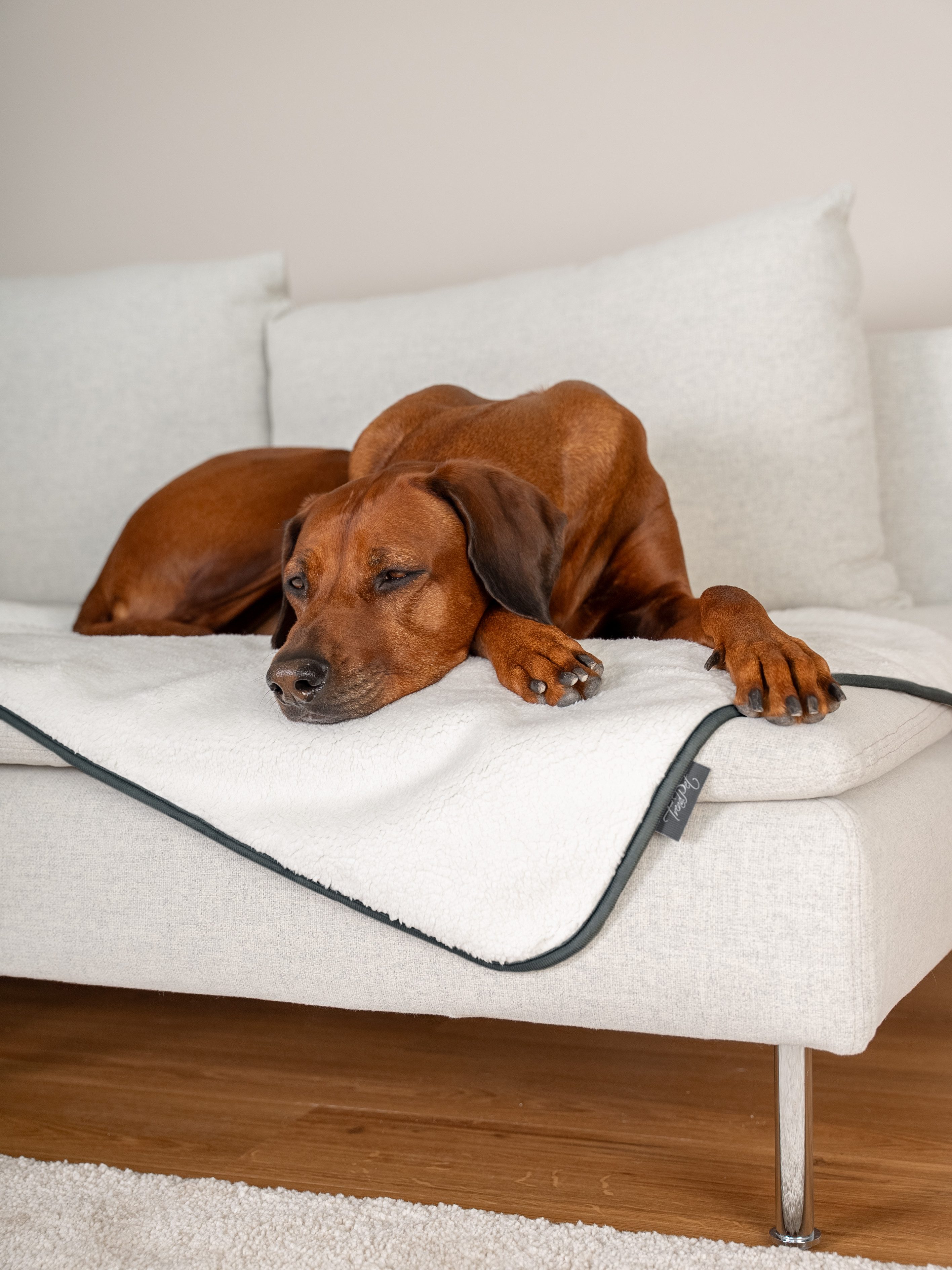 TrendPet Hundematte Hundedecke Pearl, 100% wasserdicht – Bild 3 von 5