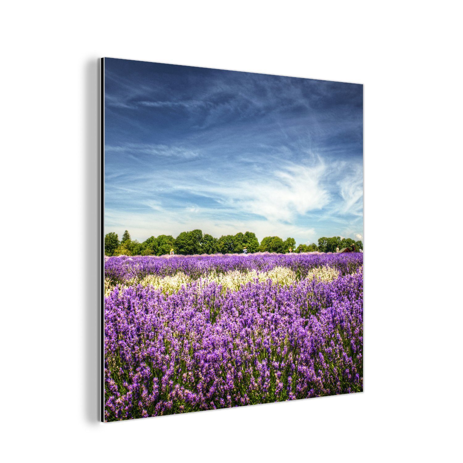 Lavendel Metallbild Natur, Aluminium der in deko aus St), MuchoWow (1 Gemälde Blauer über Metall, Alu-Dibond-Druck, Himmel