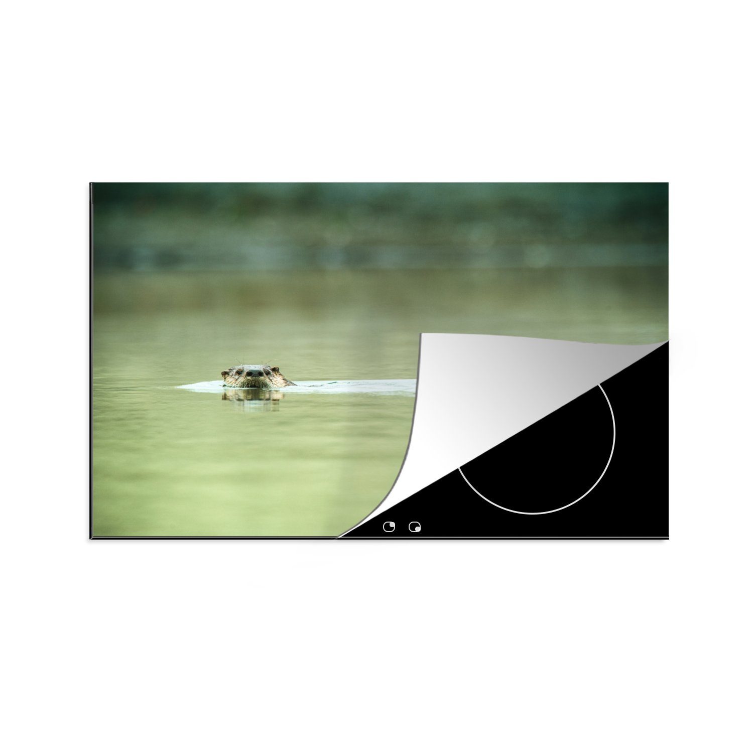 MuchoWow Herdblende-/Abdeckplatte Otter schwimmt im Wasser, Vinyl, (1 tlg), 81x52 cm, Induktionskochfeld Schutz für die küche, Ceranfeldabdeckung