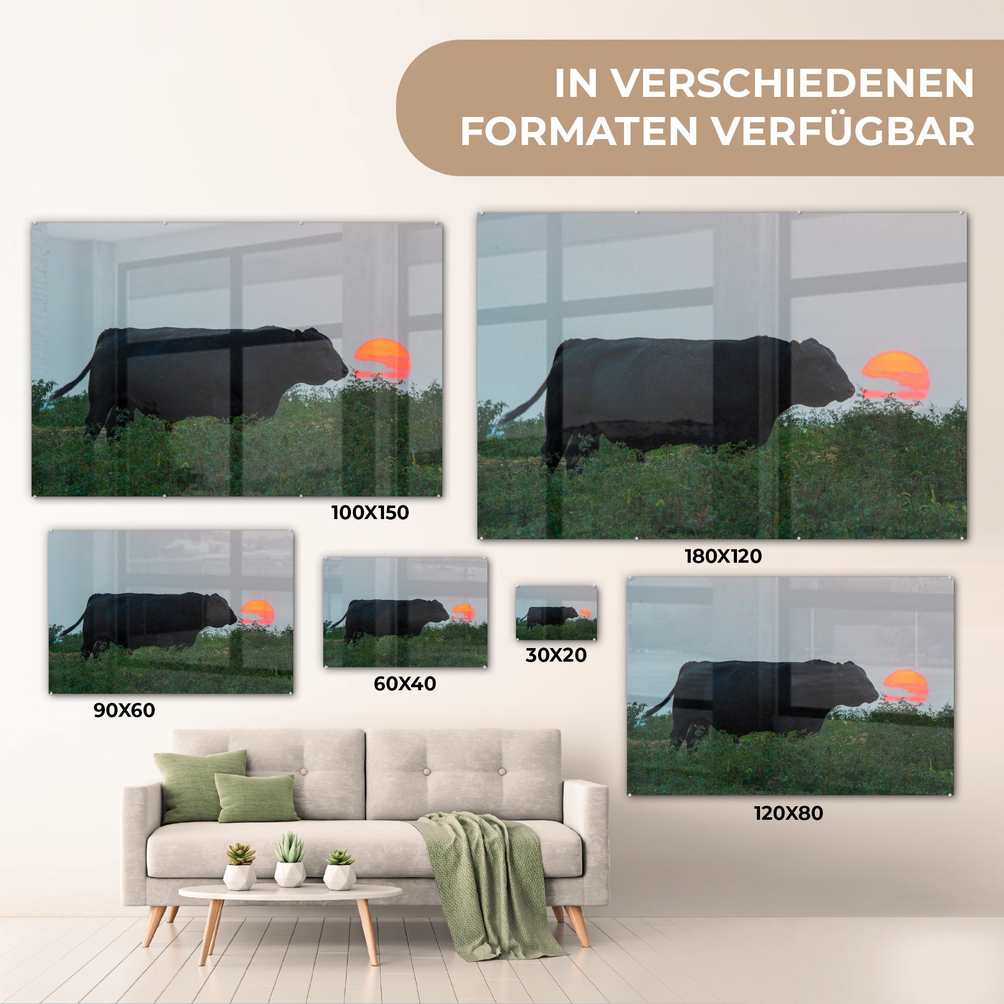 (1 - Acrylglasbilder Acrylglasbild MuchoWow St), Schwarz - Kuh Schlafzimmer & Wohnzimmer Sonne,