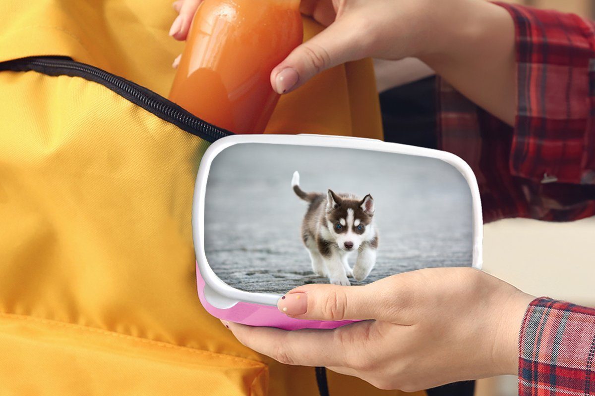 Husky-Welpe läuft Snackbox, über Brotbox rosa MuchoWow Kinder, Lunchbox (2-tlg), für Kunststoff, Erwachsene, Mädchen, Straße, Kunststoff Brotdose die