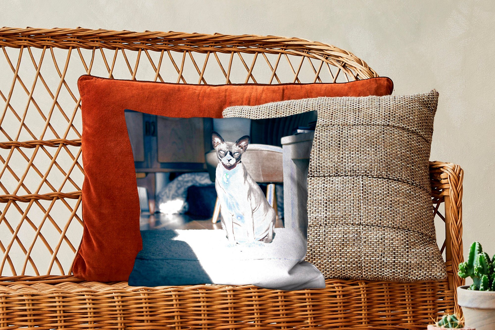 MuchoWow Dekokissen Deko, Sphynx-Katze, der auf für Sofakissen Wohzimmer, mit Zierkissen Schlafzimmer, Sonnenstrahlen Füllung