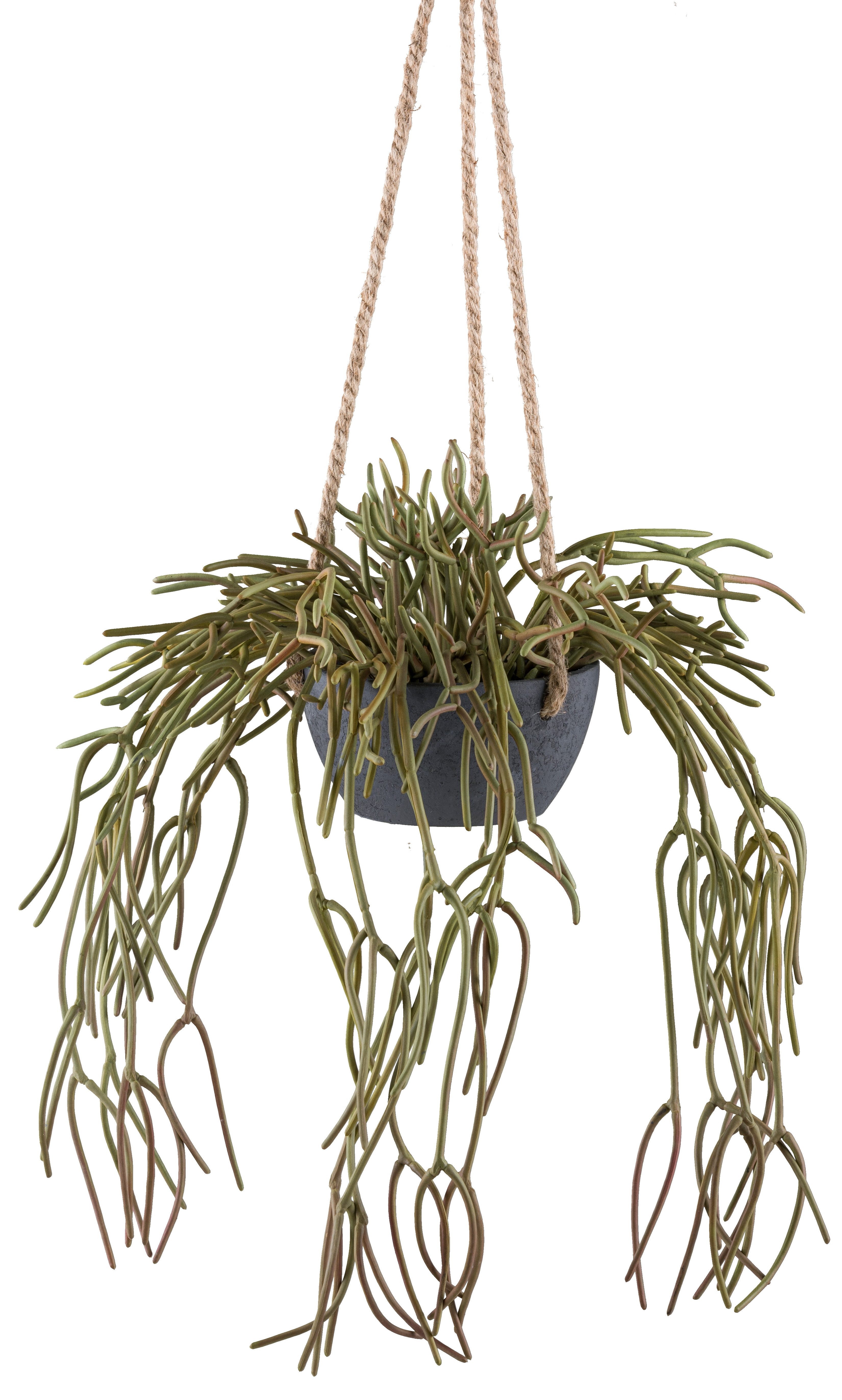 Kunstpflanze Hängepflanze Rhipsalis pilocarpa, Creativ green, günstig online kaufen