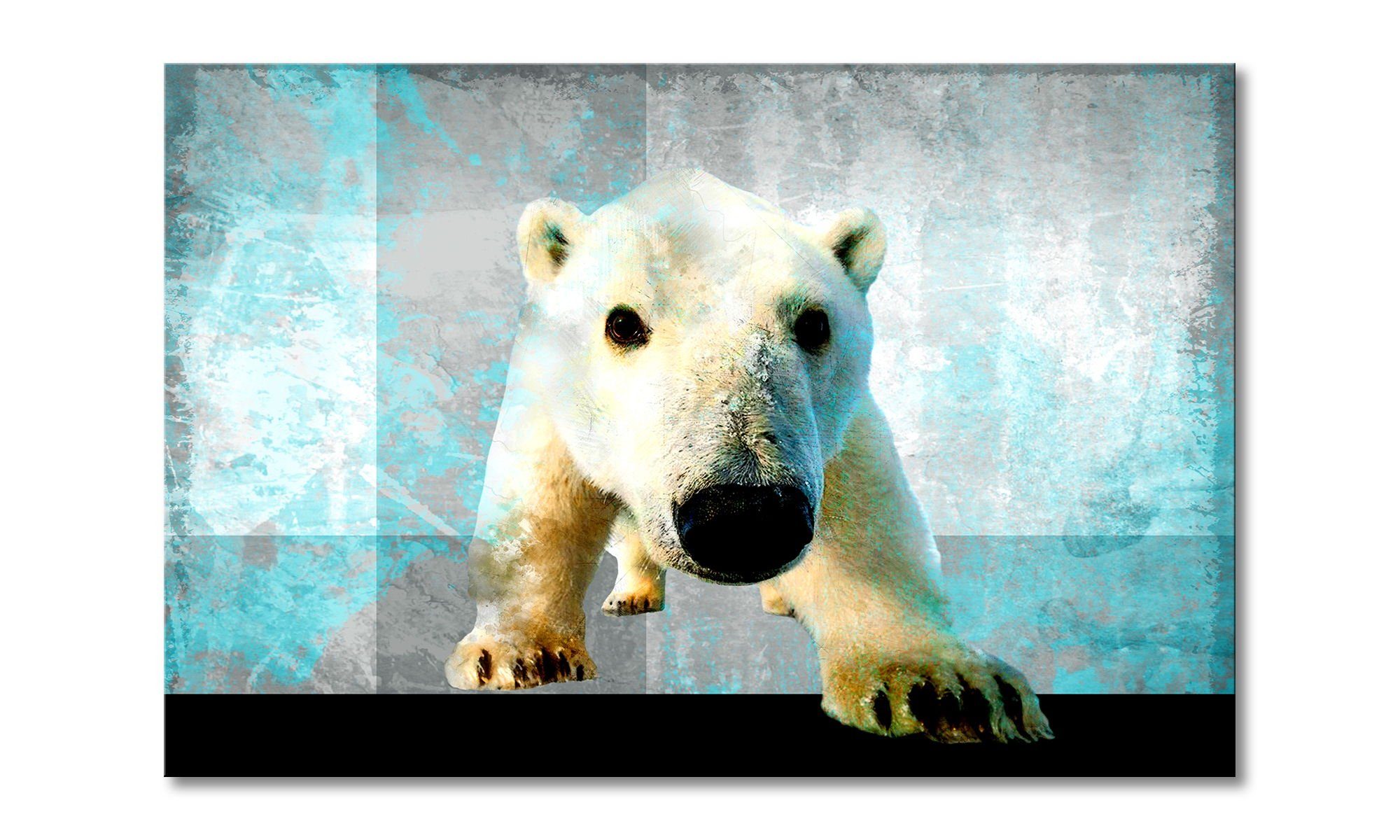 Leinwandbild Little Icebear