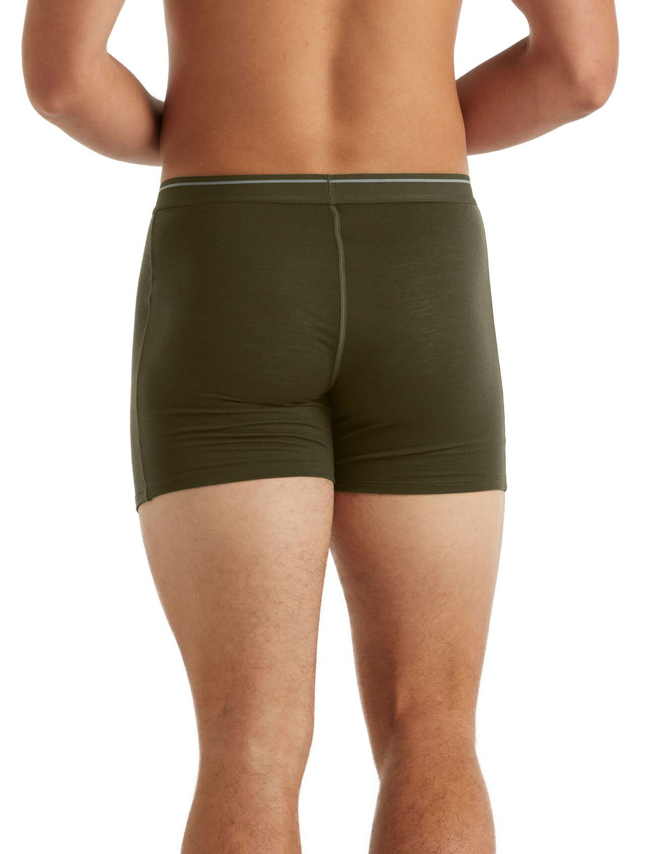 Icebreaker Boxershorts Anatomica (Merinowolle) Unterwäsche lodengrün Herren