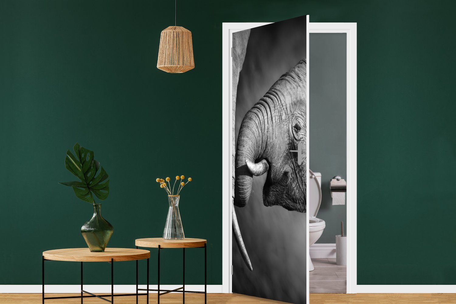 Schwarz - (1 Fototapete Porträt, - Weiß Wildtiere Tür, Matt, MuchoWow - cm St), 75x205 Elefant bedruckt, für Türaufkleber, Türtapete -