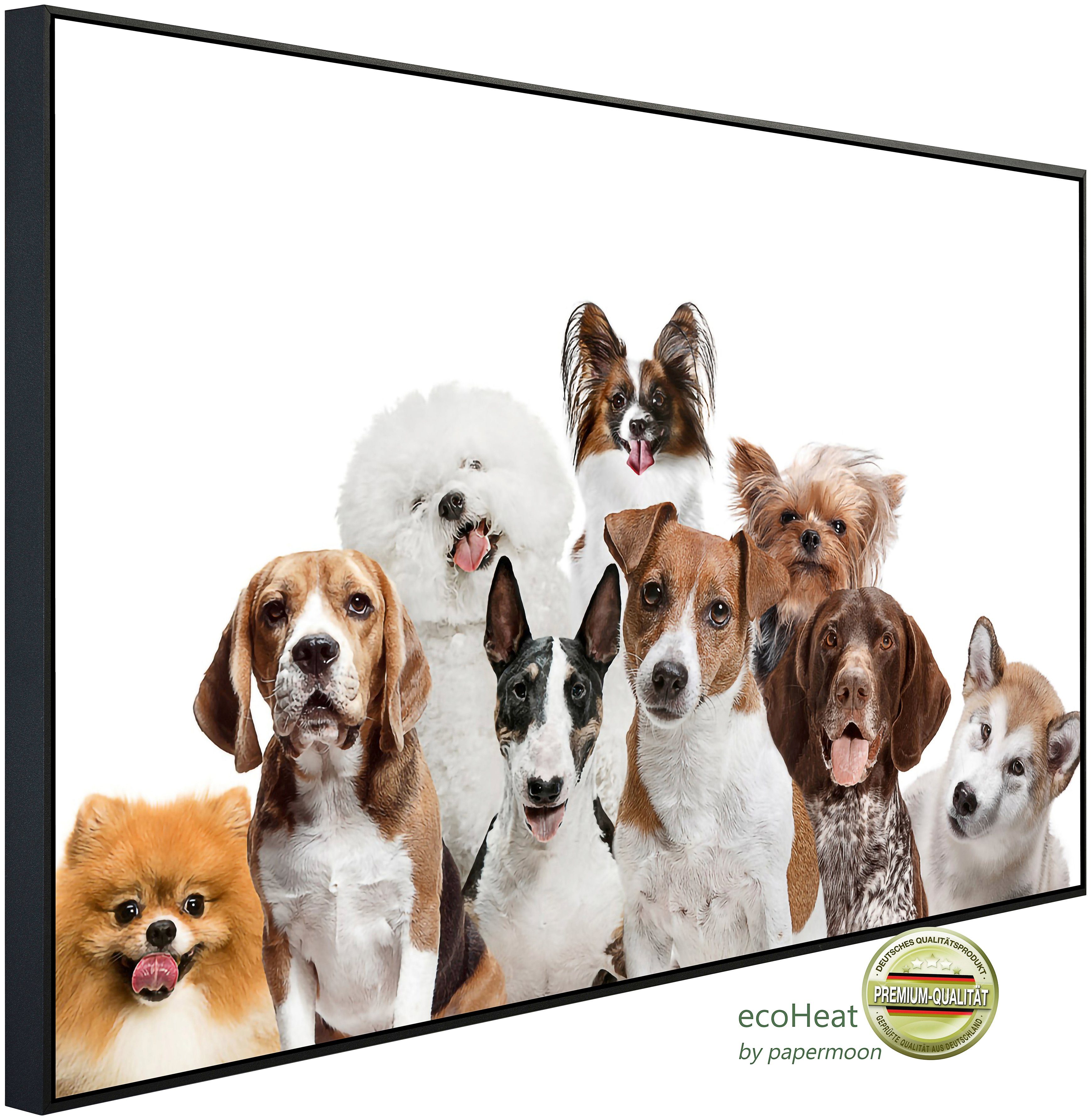 Infrarotheizung hunde