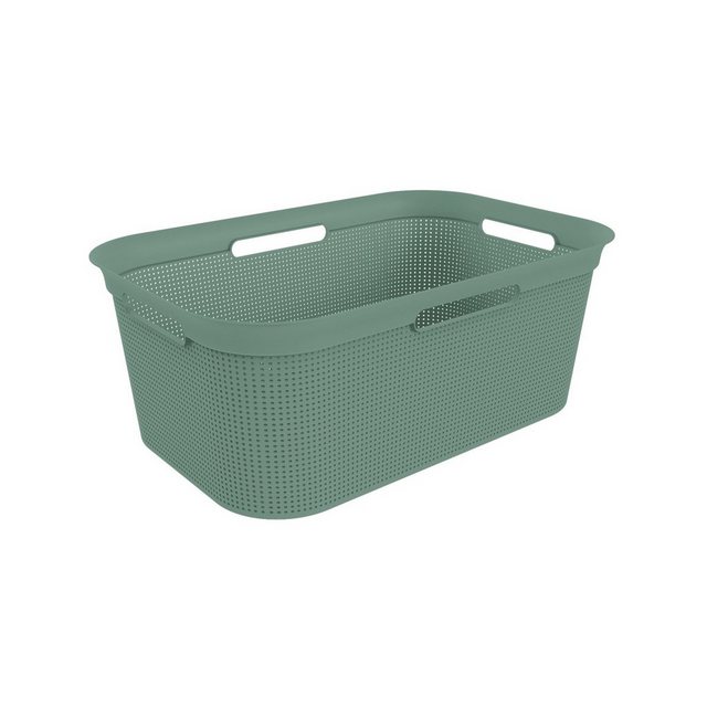 ROTHO Wäschekorb “Brisen Wäschekorb 40l mit 4 Griffen, Kunststoff (PP) BPA-frei”, Löcher an den Seiten ermöglicht Luftzirkulation innerhalb der Wäschebox