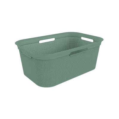 ROTHO Wäschekorb Brisen Wäschekorb 40l mit 4 Griffen, Kunststoff (PP) BPA-frei, Löcher an den Seiten ermöglicht Luftzirkulation innerhalb der Wäschebox