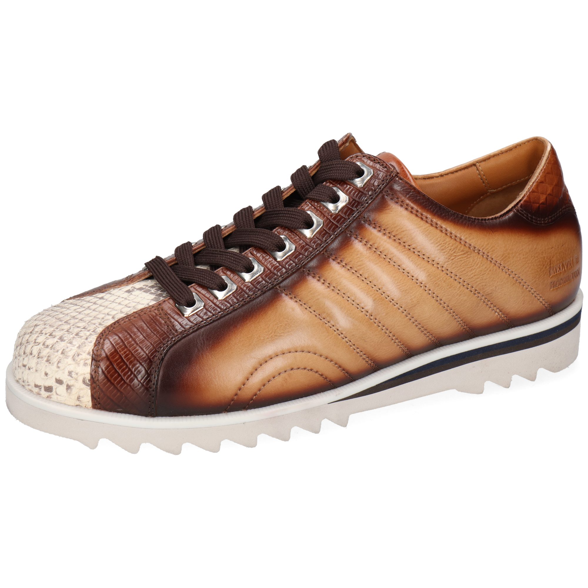 Snake Python Brown