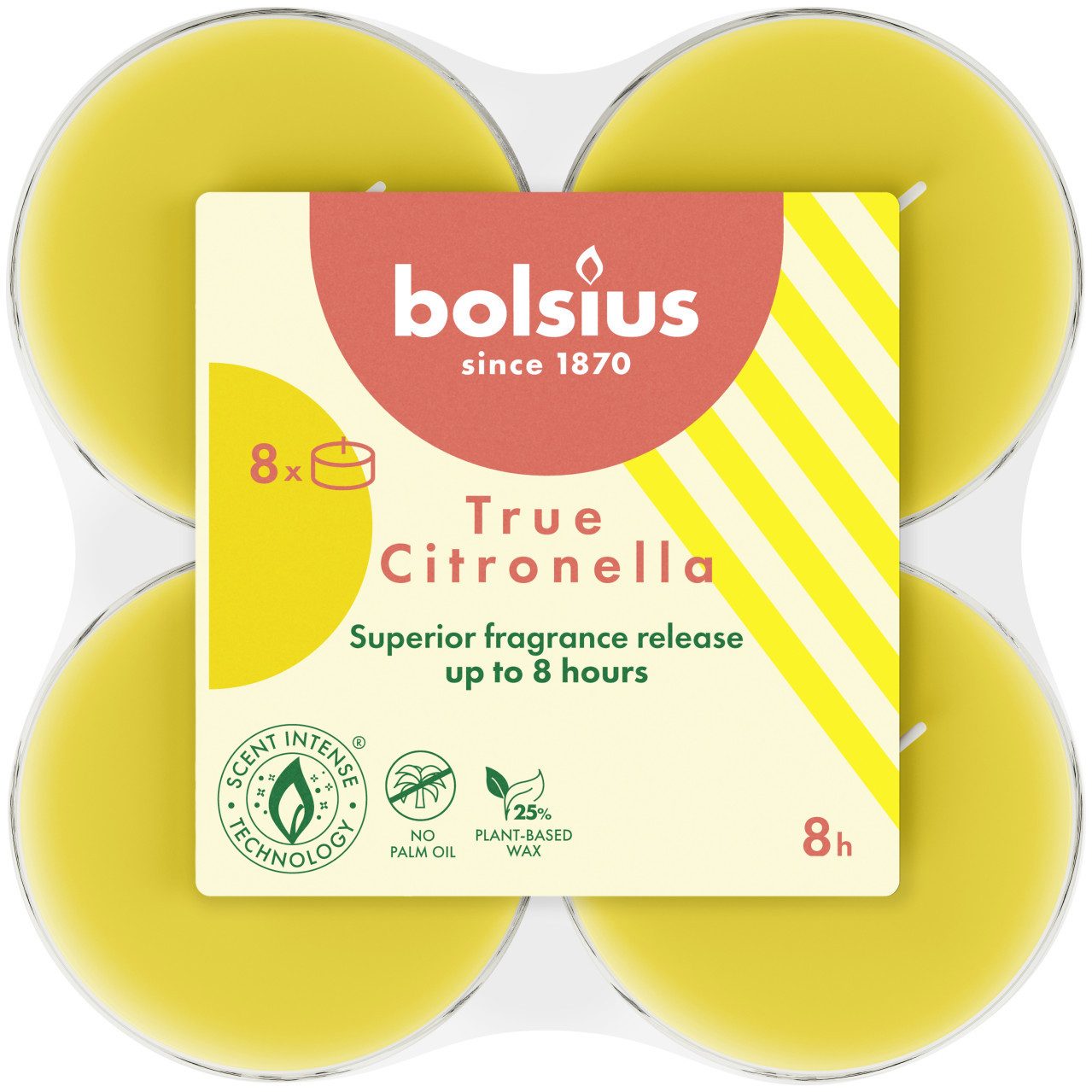 Bolsius Duftkerze Bolsius Maxi-Lichte Citronella 8er Pack günstig online kaufen