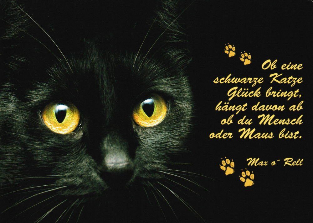Postkarte "Ob eine Glück ..." ab davon Katze hängt bringt, schwarze
