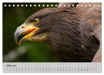 CALVENDO Wandkalender Scharfblick (Tischkalender 2024 DIN A5 quer), CALVENDO Monatskalender
