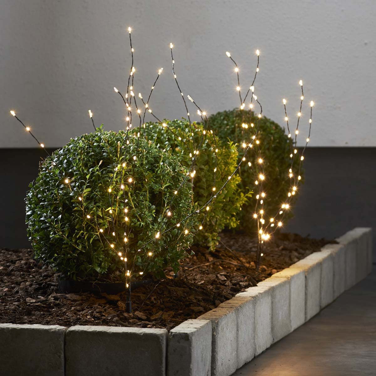 STAR TRADING LED Baum LED Bäumchen REEDY, 60/90/180cm 8er Set, ww, IP44