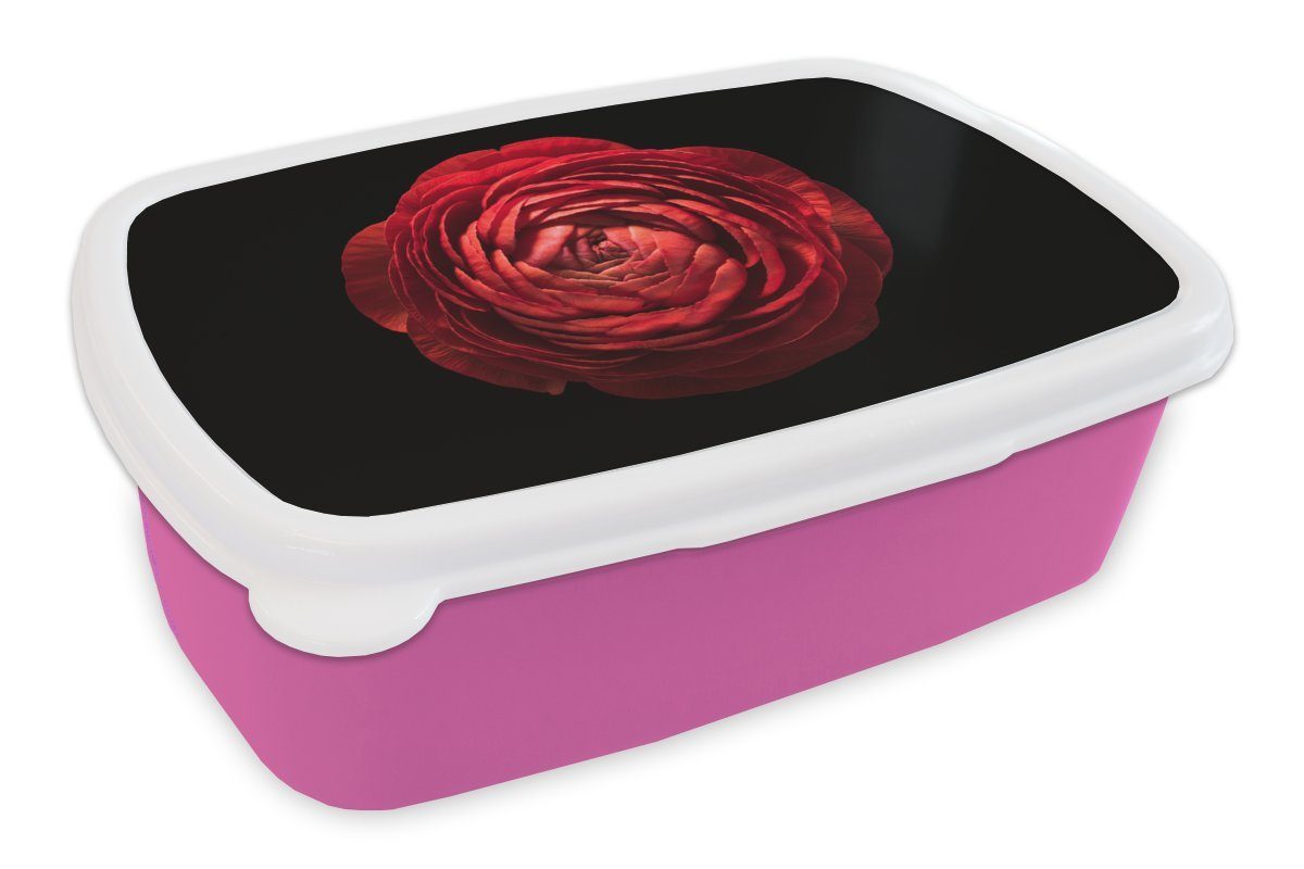 MuchoWow Lunchbox Eine Erwachsene, Snackbox, Nahaufnahme Brotdose Butterblume für schwarzem auf Mädchen, Kunststoff Hintergrund, einer Kinder, Kunststoff, roten Brotbox rosa (2-tlg)
