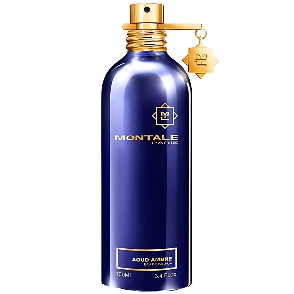 Eau de Parfum Montale Aoud Ambre 100ml Eau de Parfum Unisex