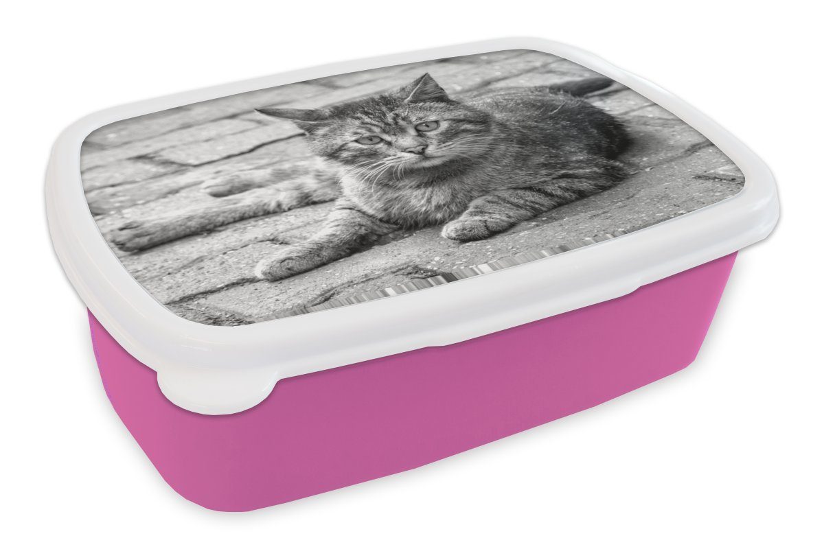 MuchoWow Lunchbox Katze - Tier - Braun - Mädchen - Kinder - Jungen - Kind, Kunststoff, (2-tlg), Brotbox für Erwachsene, Brotdose Kinder, Snackbox, Mädchen, Kunststoff rosa