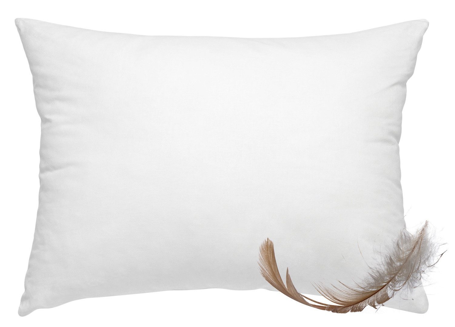 wometo Federkissen Home, in über 10 Größen, Füllung: Federn, einzeln, OEKO- günstig online kaufen