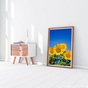 Sinus Art Poster 90x60cm Poster Naturfotografie Strahlende Sonnenblumen am blauen Himmel